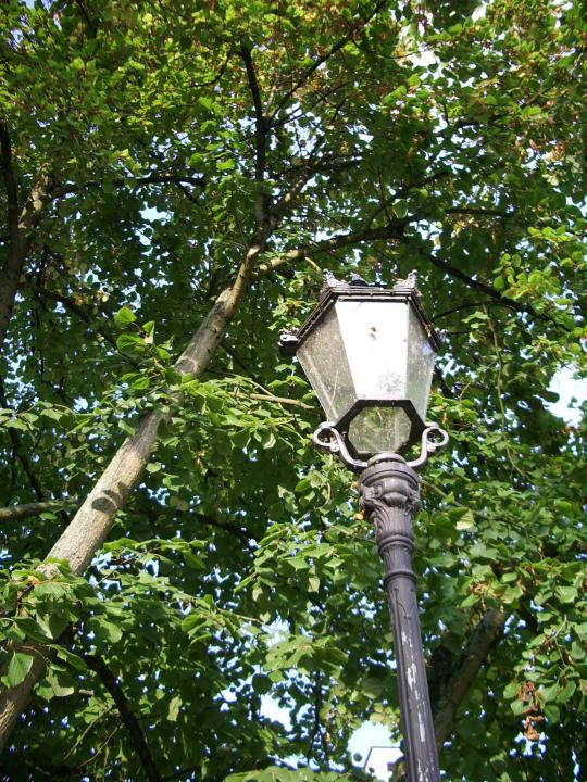 05.10.2005 16-36-36_0177 